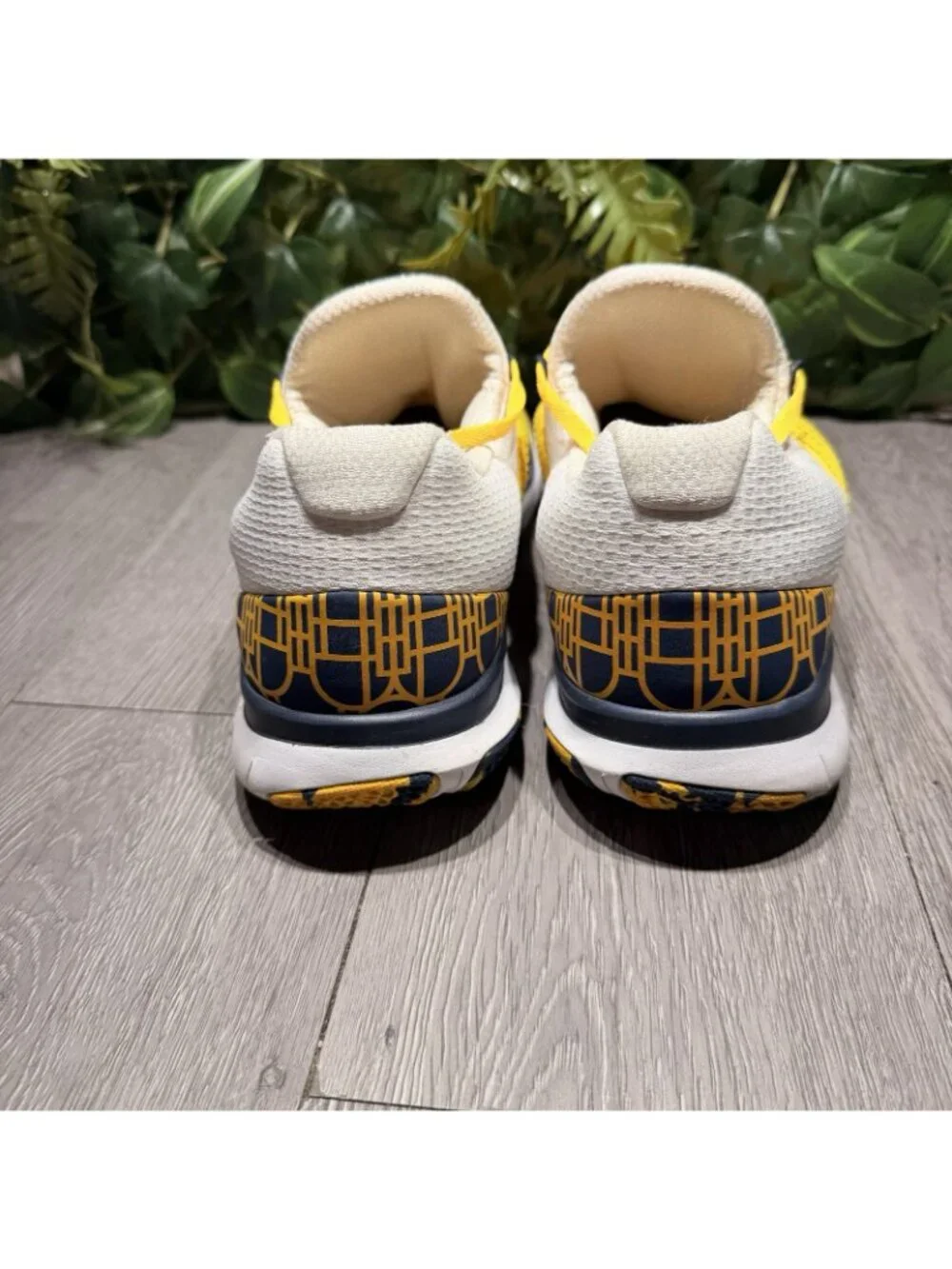 NIKE Free Men’s Michigan Wolverine’s Running Shoes 12.5 Blue Gold AA0881-700